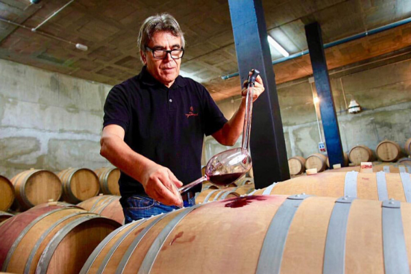 Spanish Wine Export Department at Bodega Maestrazgo. Import Spanish  Wines  Hassle Free!