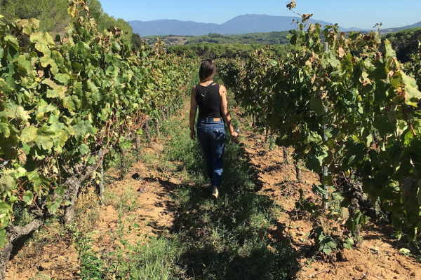 Spanish Wine Export Department at Bodega Maestrazgo - Import the best of Spanish Wines